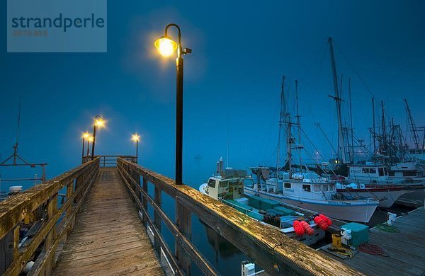 Morro Bay  California  Vereinigte Staaten von Amerika  Nordamerika