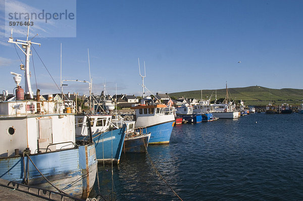 Dingle Harbour mit Angeln Boote  Dingle  County Kerry  Munster  Republik Irland  Europa