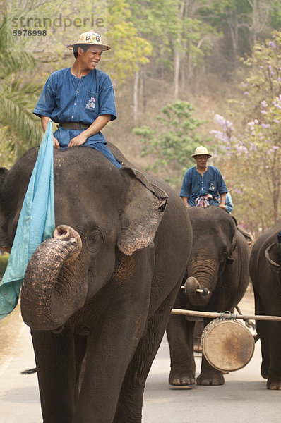 Elephant Conservation Center  Lampang  Thailand  Südostasien  Asien