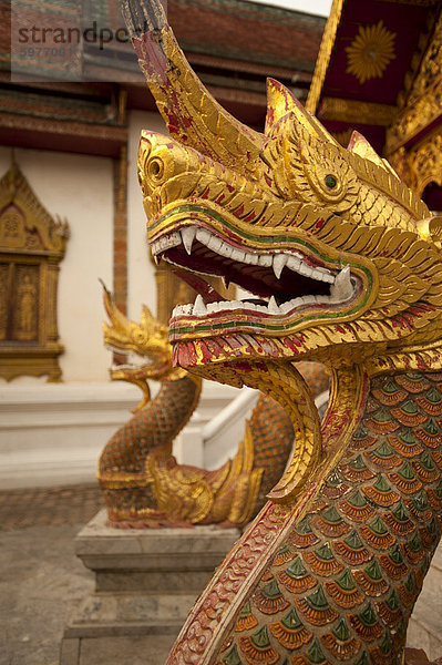 Wat Tung Yu  Chiang Mai Provinz Chiang Mai  Thailand  Südostasien  Asien