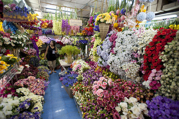 Chatuchak Market  Bangkok  Thailand  Südostasien  Asien