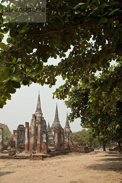 Wat Phra Si Sanphet  Ayutthaya  UNESCO World Heritage Site  Provinz Ayutthaya  Thailand  Südostasien  Asien