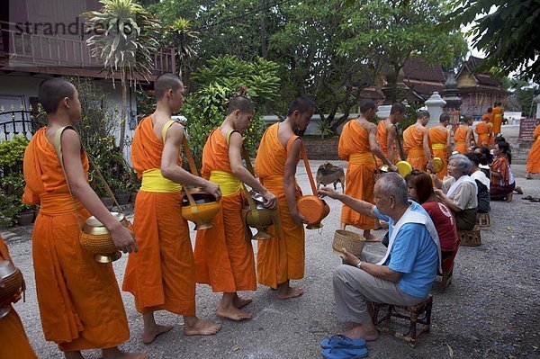 Mönche  die Verarbeitung im Morgengrauen um Almosen von Reis in Luang Prabang  Laos  Indochina  Südostasien  Asien