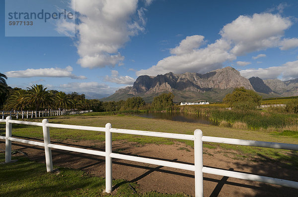 Zorgvliet Wine Estate  Stellenbosch  Kapprovinz  Südafrika  Afrika