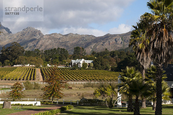 Zorgvliet Wine Estate  Stellenbosch  Kapprovinz  Südafrika  Afrika