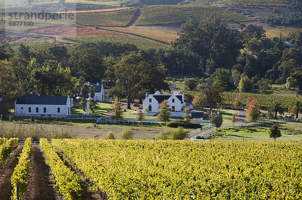 Zorgvliet Wine Estate  Stellenbosch  Kapprovinz  Südafrika  Afrika