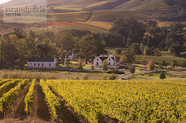 Zorgvliet Wine Estate  Stellenbosch  Kapprovinz  Südafrika  Afrika