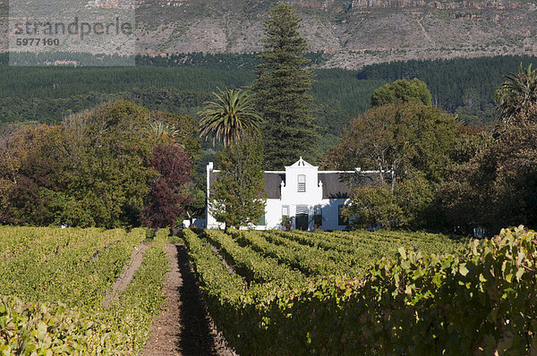 Buitenverwachting Wine Farm  Constantia  Kapprovinz  Südafrika  Afrika