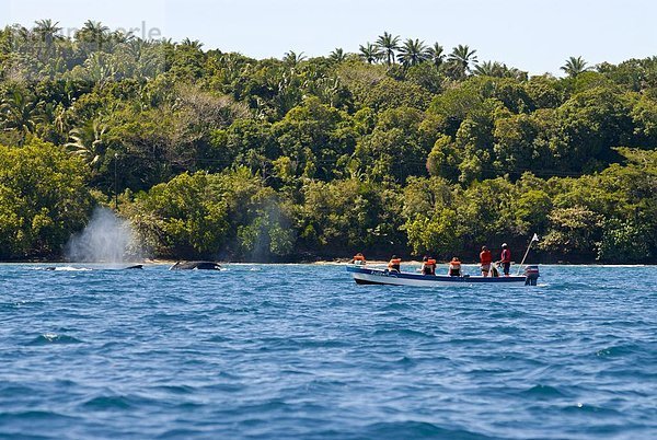 Touristen gerade ein Buckelwal Wal (Megaptera Novaeangliae)  Ile Sainte Marie  Madagaskar  Indischer Ozean  Afrika