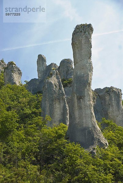 Riesige Stein Türme im Ucka-Canyon  Istrien  Kroatien  Europa