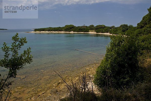 Schöne Bucht an der Brioni-Inseln  die Sommerresidenz von Tito  Istrien  Kroatien  Europa