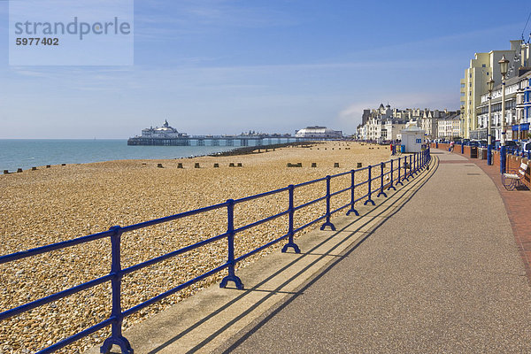 Kiesstrand und Buhnen  Hotels auf der Strandpromenade  Eastbourne Anlegestelle in der Ferne  Eastbourne  East Sussex  England  Vereinigtes Königreich  Europa