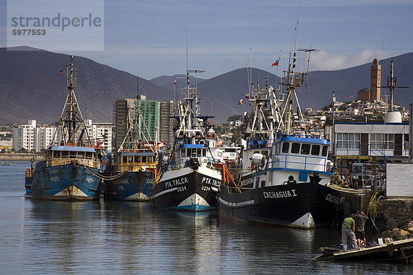 Fischerboote im Hafen Coquimbo  Norte Chico Region  Chile  Südamerika