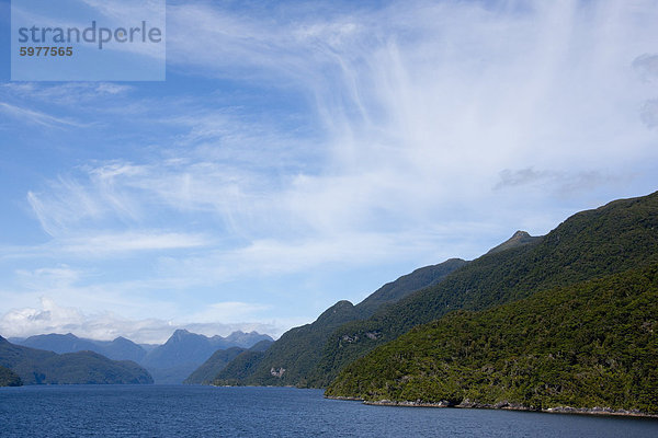 Fjord  Thomson Sound  Südinsel  Neuseeland  Pazifik