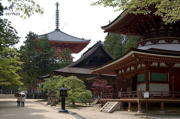 Gruppe von Tempelgebäude  darunter die Konpon Daito-Stupa in Dai Garan Bereich der Berg Koya  Wakayama  Japan  Asien