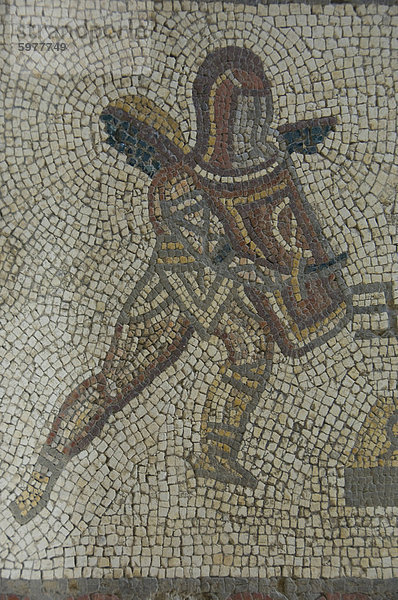 Detail der Gladiator von Teppich-Grenze im Mosaik von 350 n. Chr.  römische Villa  Bignor  West Sussex  England  Vereinigtes Königreich  Europa