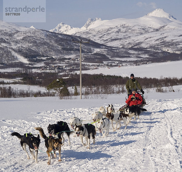 Hund Rodeln mit Huskys  Tromso Wildnis centre  Norwegen  Skandinavien  Europa