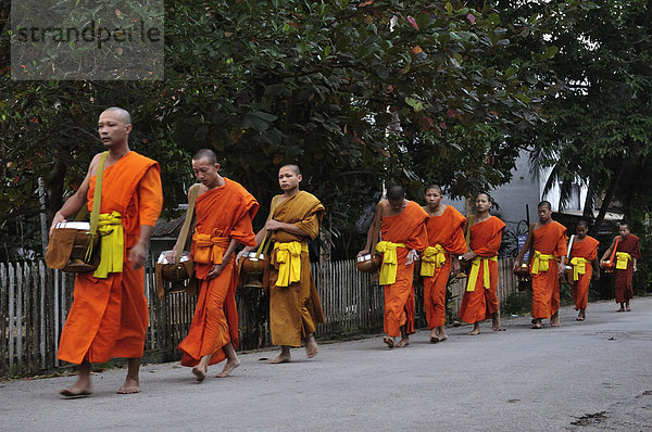 Buddhistische Mönche sammeln Morgen Alms  Luang Prabang  Laos  Indochina  Südostasien  Asien