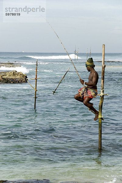 Traditionelle Stelzenläufer Fischer  Koggala  in der Nähe von Weligama  Süden von Sri Lanka  Asien