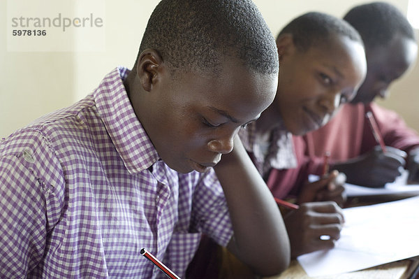 Schüler arbeiten in Klasse  Ngumo Primary School  Rift Valley in Kenia  Ostafrika  Afrika