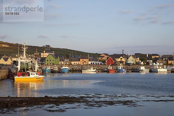 Halbinsel Dingle  County Kerry  Munster  Irland  Europa