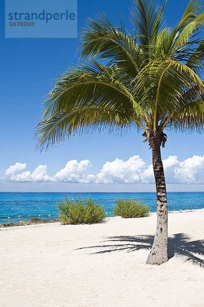 Strand von Chankanaab Park  Isla de Cozumel (Insel Cozumel)  Cozumel  aus der Yucatan  Quintana Roo  Mexiko  Nordamerika