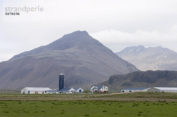 Bauernhof  Südküste nahe Hofn  Island  Polarregionen