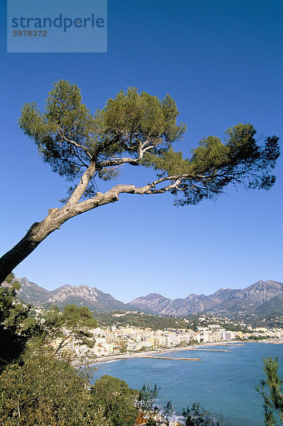 Frankreich Europa Provence - Alpes-Cote d Azur Cote d Azur Alpes-Maritimes Menton