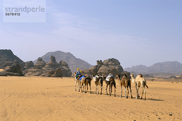 Kamelkarawane  Akakus  Sahara Wüste  Fessan  Libyen  Nordafrika  Afrika