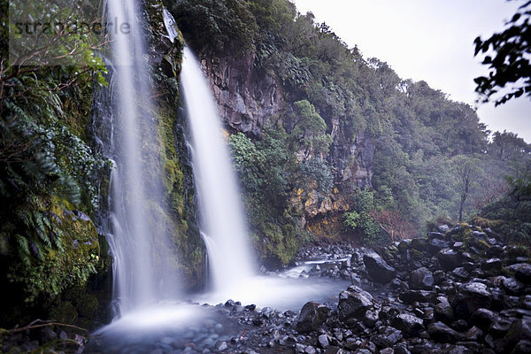 Dawson Falls  Egmont-Nationalpark  Taranaki  Nordinsel  Neuseeland  Pazifik