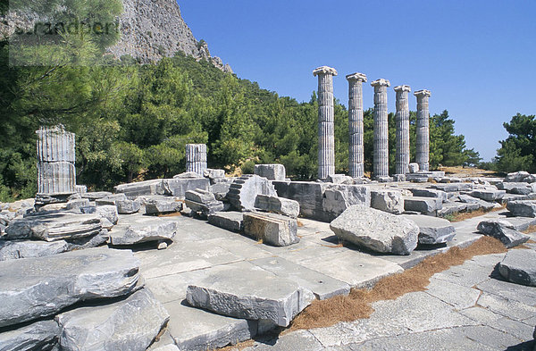 Tempel der Athene  Priene  Anatolien  Türkei  Kleinasien  Asien