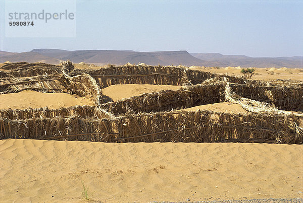 Barrieren errichtet  um zu verhindern  dass Sand driften auf Road  in der Nähe von Tinejdad  Marokko  Nordafrika  Afrika