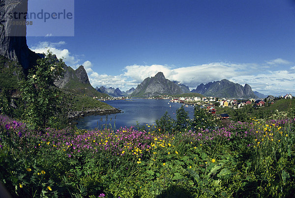 Reine Lofoten im Sommer nominiert Norwegens schönste Dorf  Lofoten Inseln  Norwegen  Skandinavien  Europa