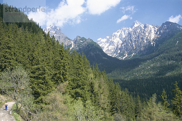 Wanderer am Lomnicky Stit  Hohe Tatra  Slowakei  Europa