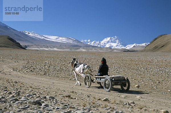 Bauer nach Hause in der Nähe von Tingri  Cho Oyu und Himalaya in Distanz  Tibetanische Hochebene  Tibet  China  Asien