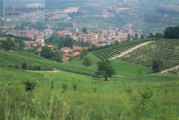 Weinberge um Dogliani  die Langhe  Piemont  Italien  Europa