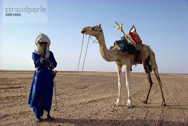 Tuareg Stammesangehörige und Kamel  Niger  Afrika