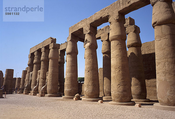 Luxor-Tempel  UNESCO World Heritage Site  Ägypten  Nordafrika  Afrika