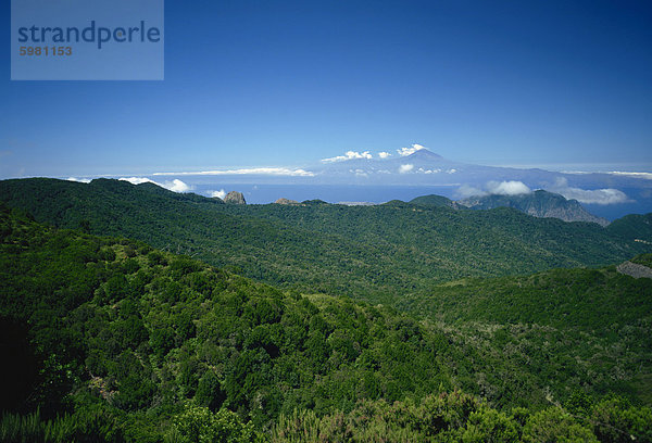 Nationalpark Garajonay  UNESCO-Weltkulturerbe  mit Teneriffa im Hintergrund  La Gomera  Kanaren  Spanien  Atlantik  Europa Garajonay Nationalpark