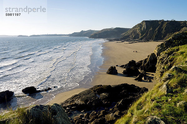 Saundersfoot Klippen  Dyfed  Wales  Vereinigtes Königreich  Europa