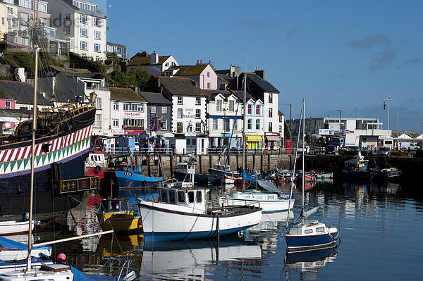 Brixham Hafen  Devon  England  Vereinigtes Königreich  Europa