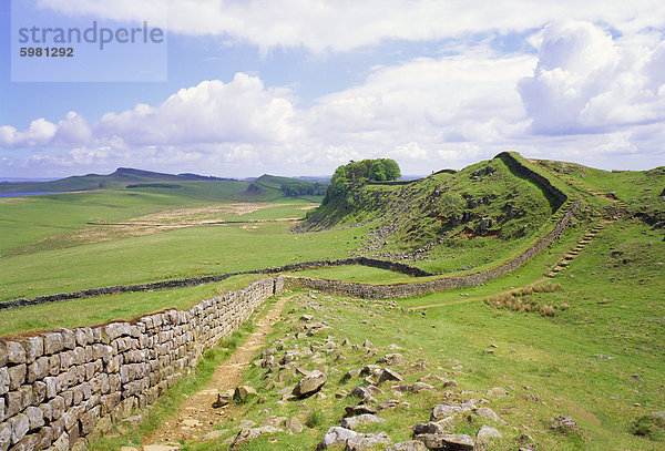 Lag  Hadrianswall  Northumberland  England  UK