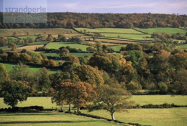 Otter Valley in Herbst  Devon  England  Vereinigtes Königreich  Europa