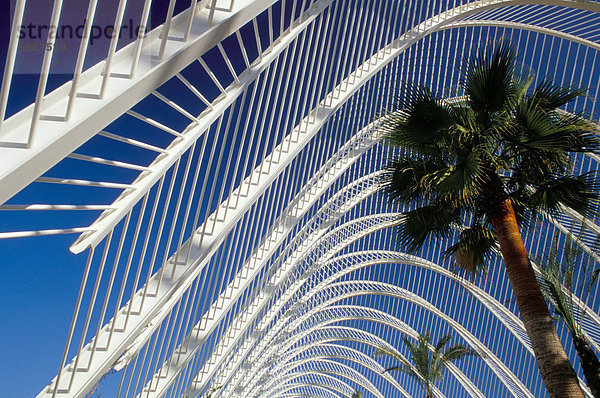 Umbracle  Stadt der Künste und Wissenschaften (Ciudad de Las Artes y Las Ciencias)  Architekt Santiago Calatrava  Valencia  Spanien  Europa