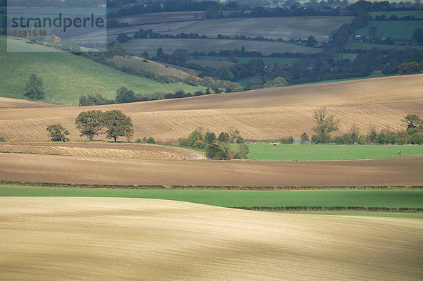 Felder im Herbst  Meon Valley  Hampshire  England  Vereinigtes Königreich  Europa