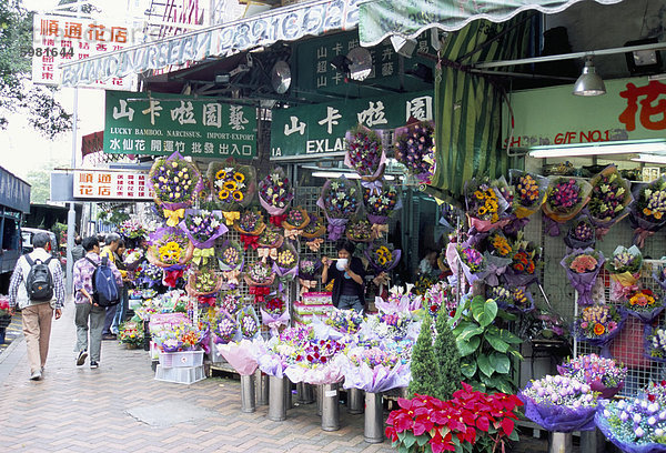 Blumenmarkt  Mong Kok  Kowloon  Hong Kong  China  Asien