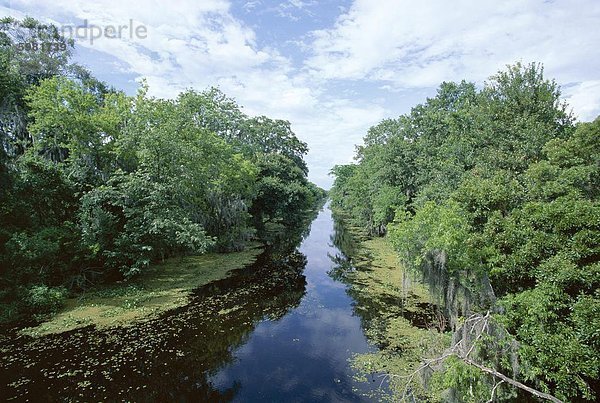 Bayou im Sumpfland an Jean Lafitte National Historic Park und Preserve  südlich von New Orleans  Louisiana  Vereinigte Staaten von Amerika (U.S.A.)  Nordamerika