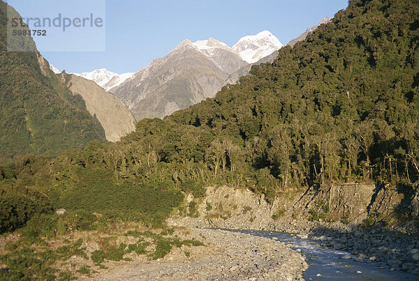 Blick auf Fluss und Wald bis zu Gipfel von Mount Cook  Westland  Südalpen  Südinsel  Neuseeland  Pazifik