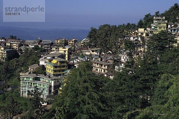 McLeod Ganj  Indien  Asien