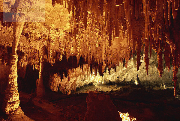 Carlsbad Caverns in Carlsbad-Caverns-Nationalpark  UNESCO World Heritage Site  New Mexico  Vereinigte Staaten  Nordamerika